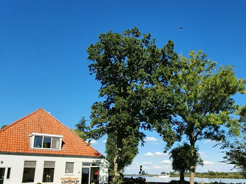 Vrijzicht, de rietgedekte woonboerderij