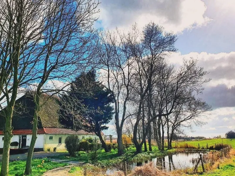 Vrijzicht, de rietgedekte woonboerderij