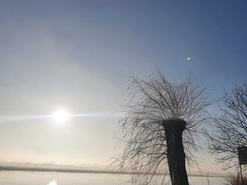 Vrijzicht in de winter
