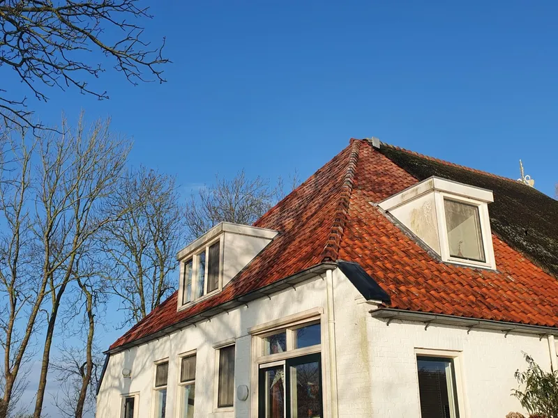 Vrijzicht in de winter