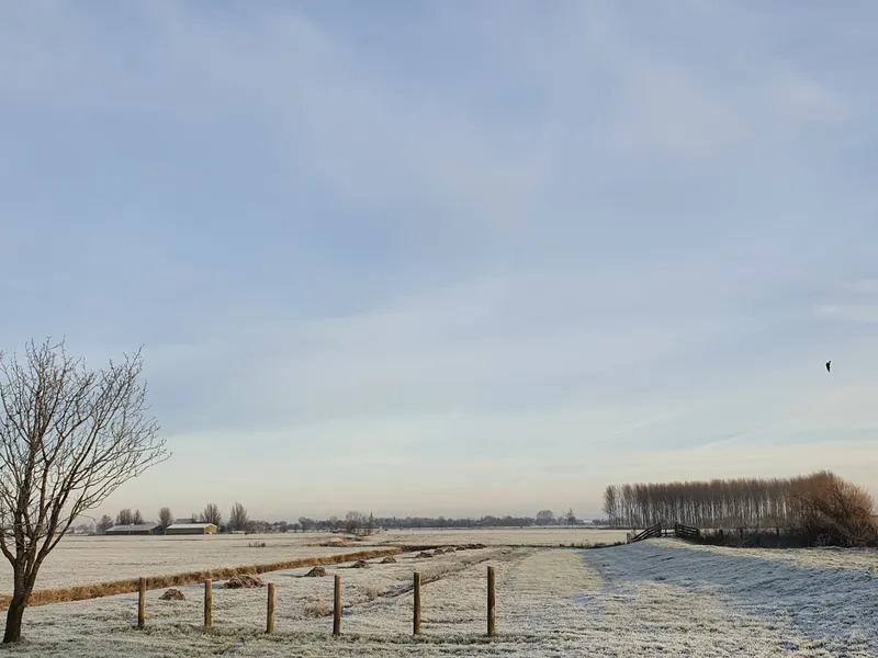 Vrijzicht in de winter